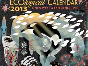 The ECOlogical Calendar, designed by Chris Hardman.