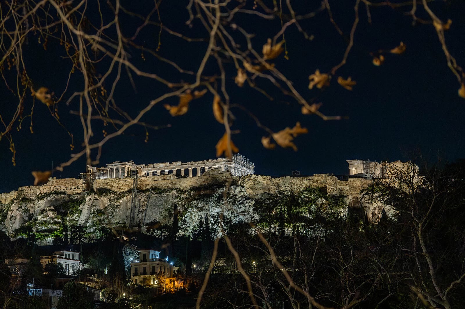 Night view of the illuminated Acropolis of Athens seen through tree branches