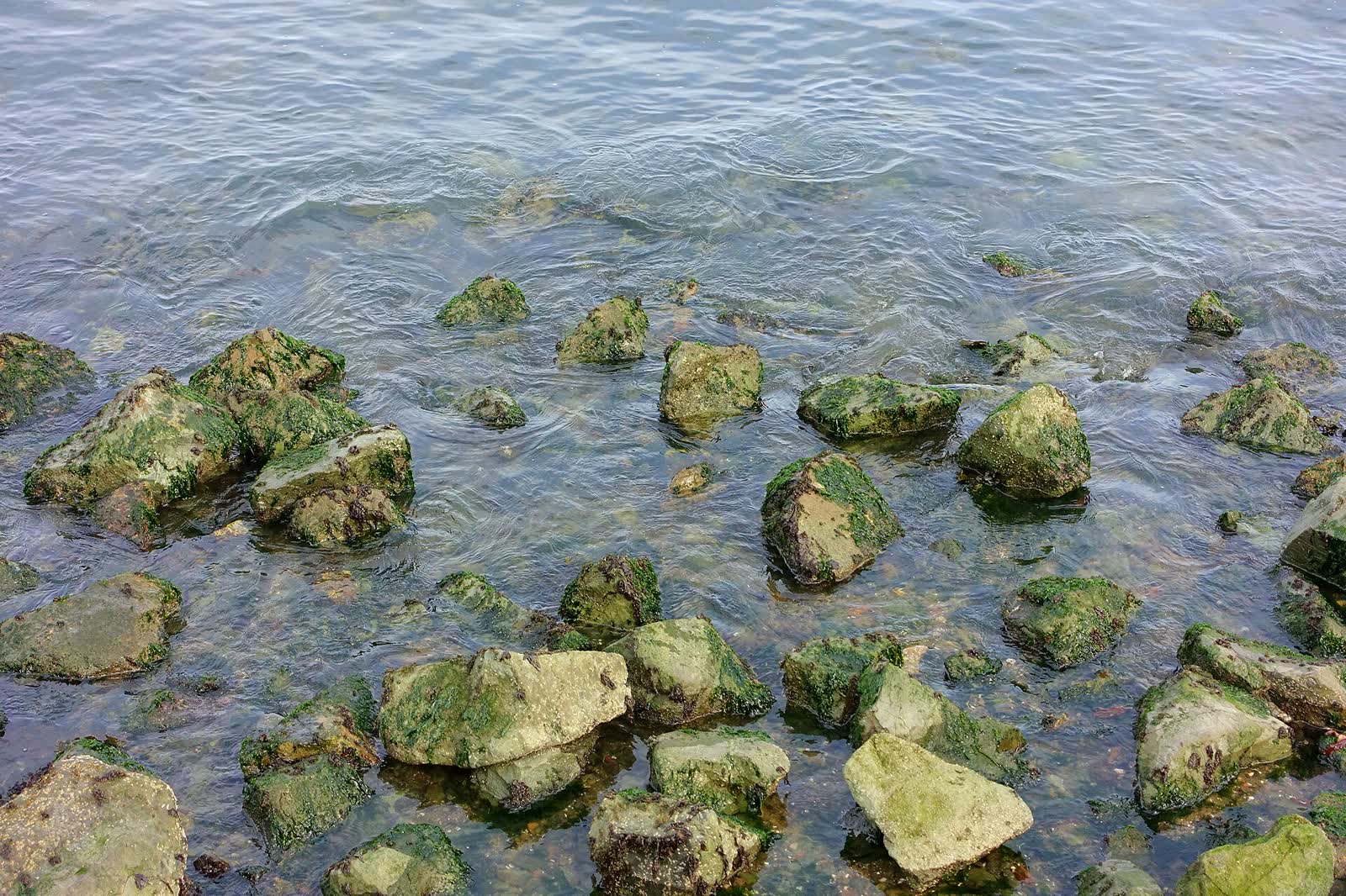 The sandy shoreline and calm water of Aquatic Park Cove in San Francisco in 2017