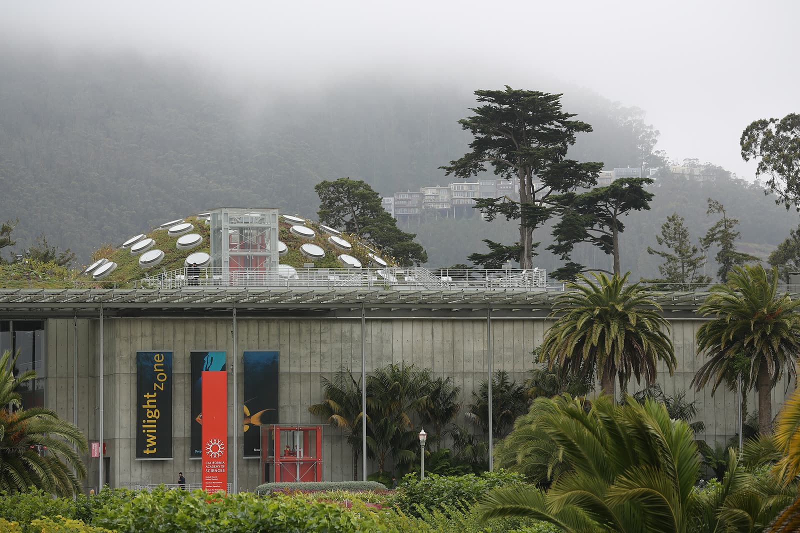 The California Academy of Sciences building in Golden Gate Park, San Francisco, in 2016