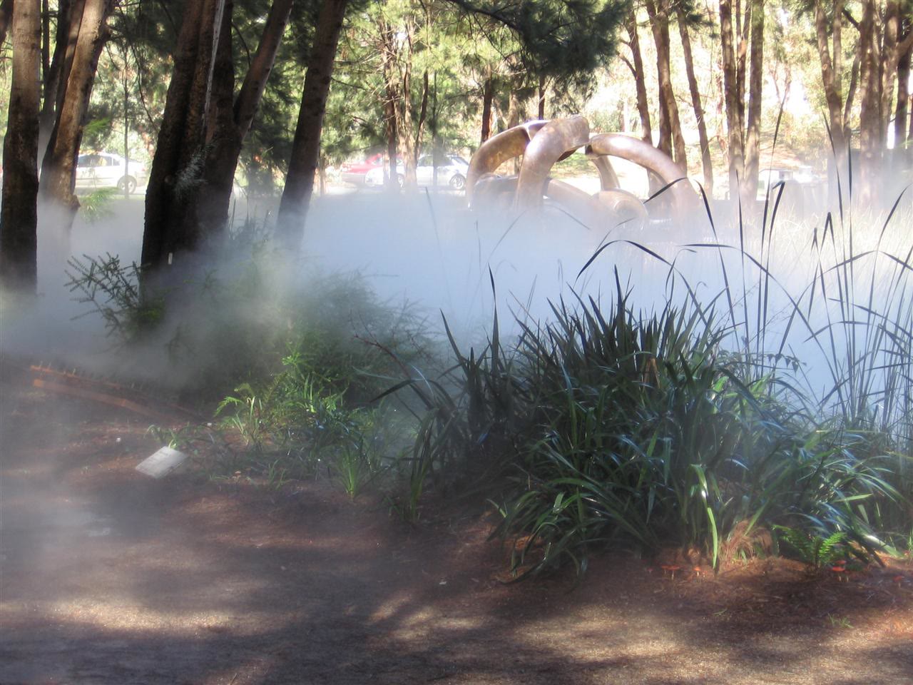 White fog drifting through grasses and trees in a sculpture garden