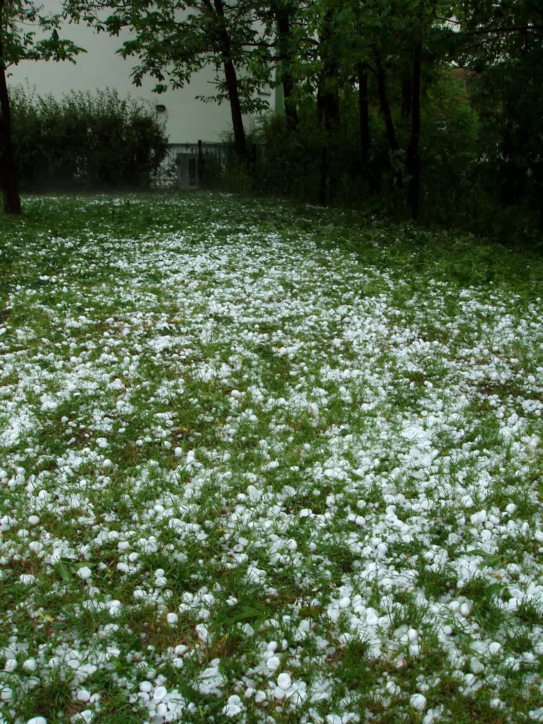 Ground covered in white hailstones after a hailstorm