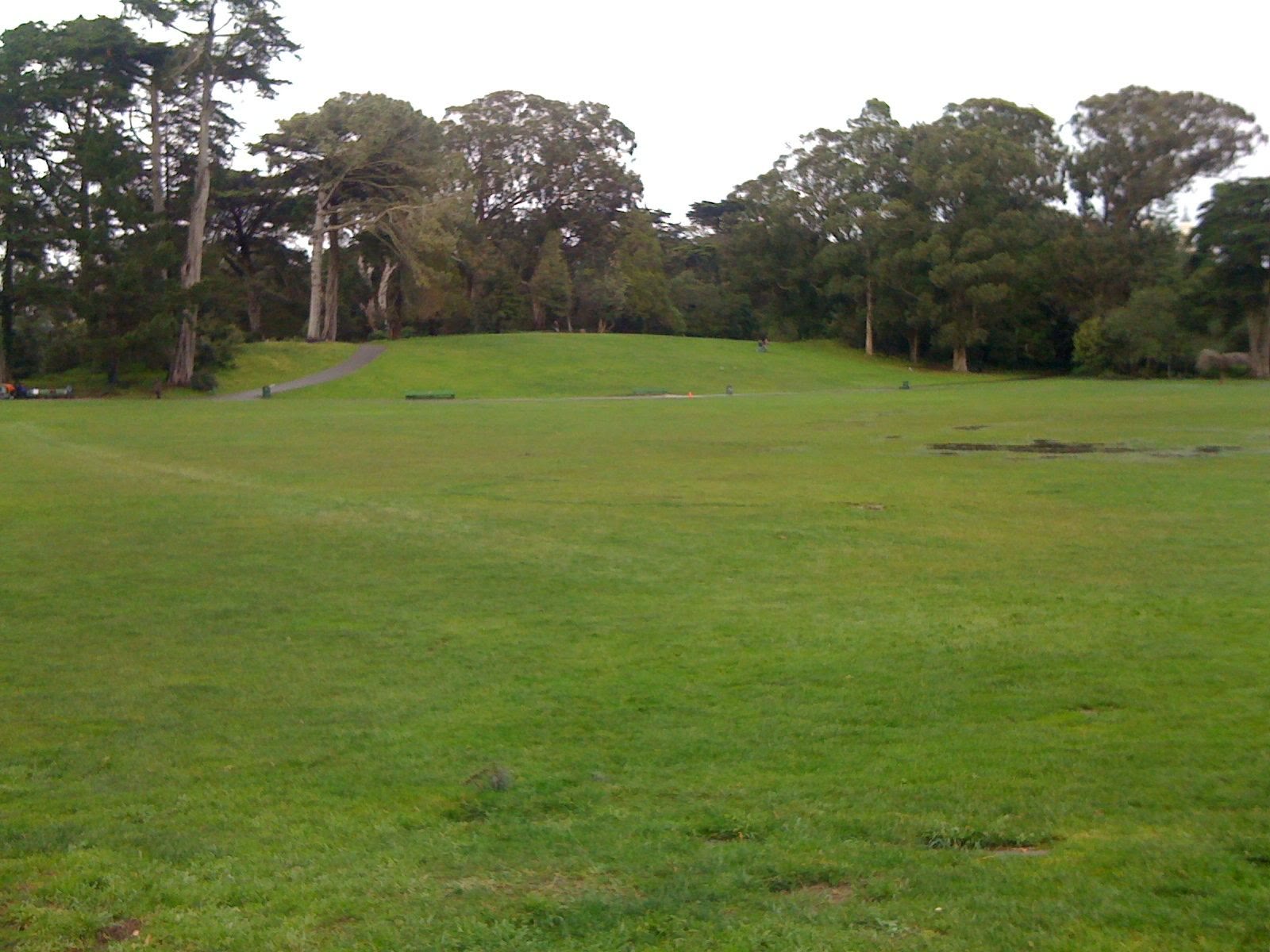 Hippie Hill, the grassy slope in Golden Gate Park near the Haight-Ashbury neighborhood