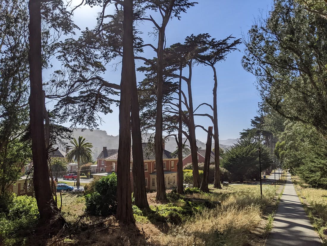 Lovers' Lane, a footpath through the trees of San Francisco's Presidio, May 2022