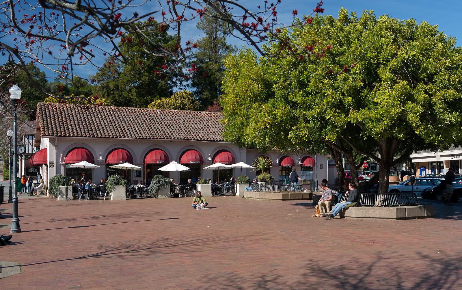 Depot Plaza in downtown Mill Valley with shops, trees and people in the square
