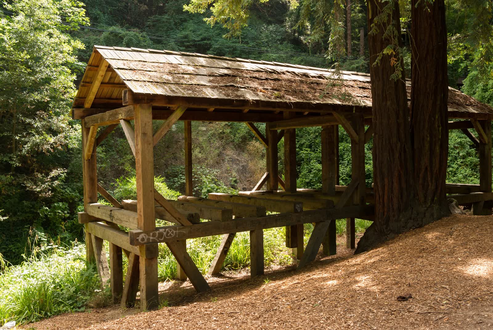 The reconstructed wooden Old Mill among redwoods in Old Mill Park, Mill Valley