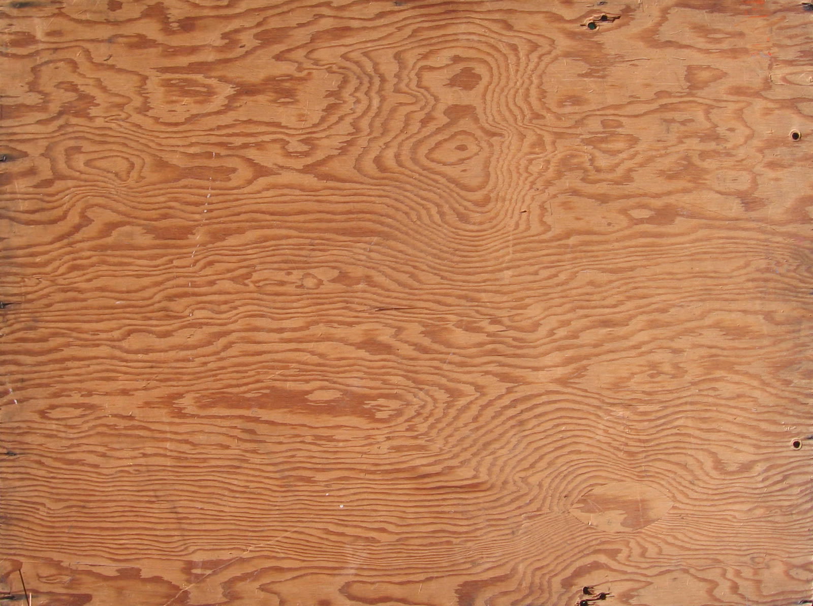 Close view of a plywood surface showing its wood grain