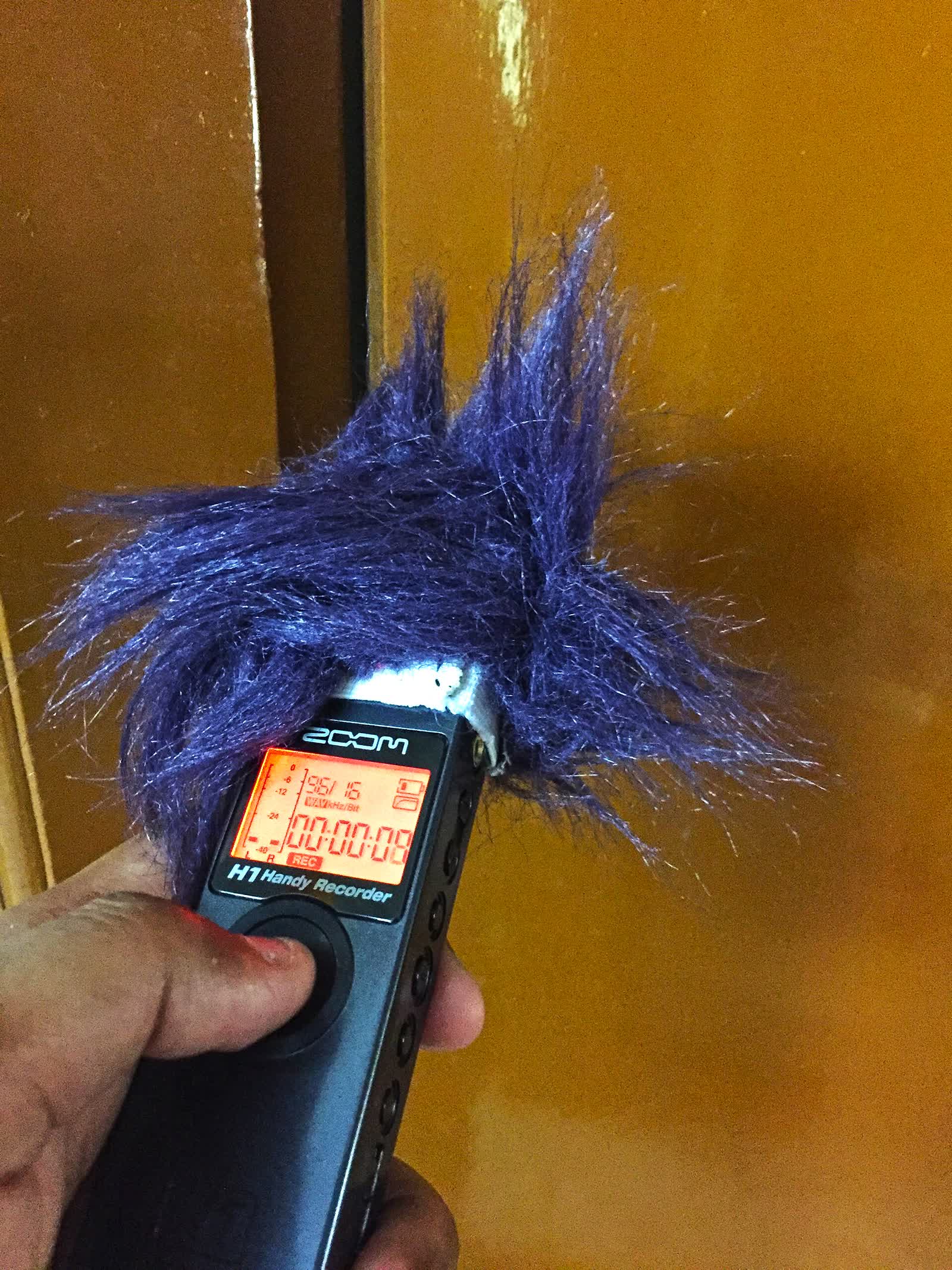 A door being opened and shut while its sound is recorded on a Zoom H1 handheld digital audio recorder, 2017