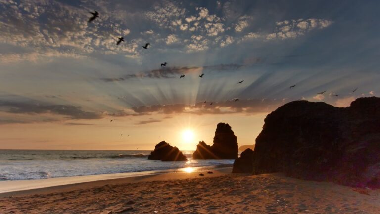 Sands of Time: Antenna Theater’s Beach Walk Through Cosmic Time