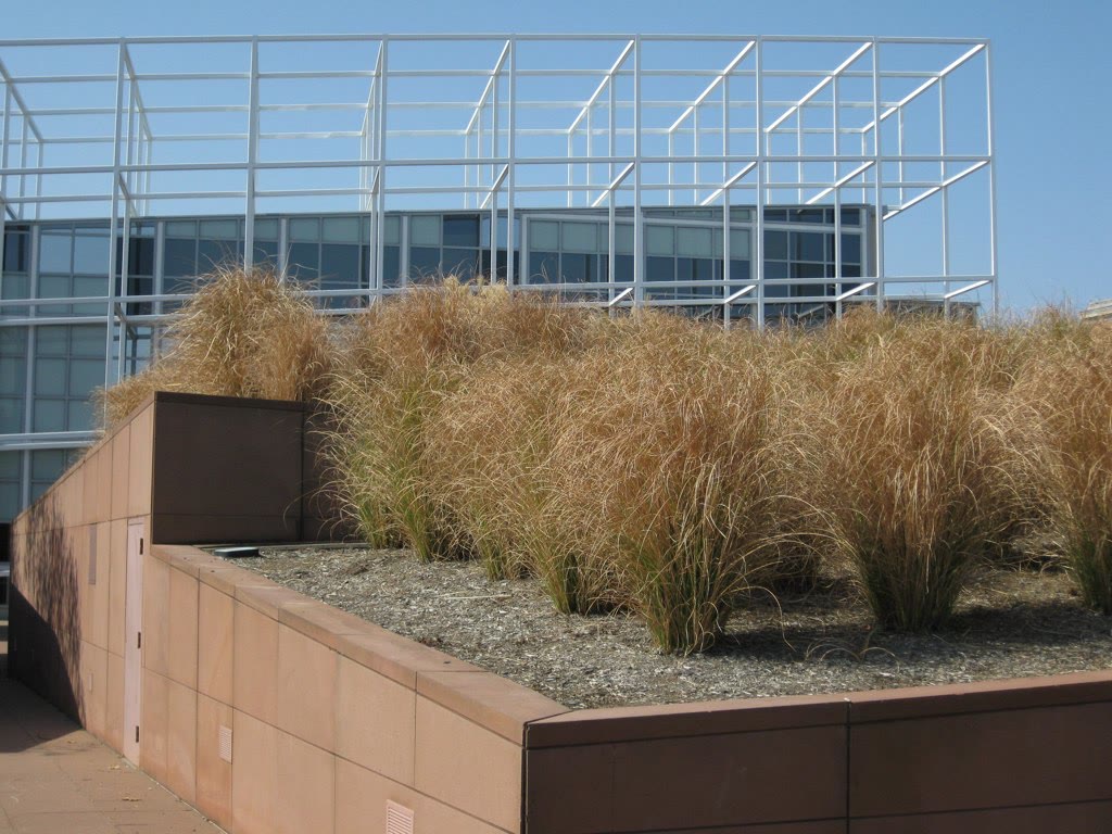 White gridwork of the Wexner Center for the Arts rising above tall grasses